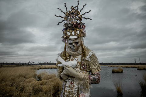 Mothmeister
